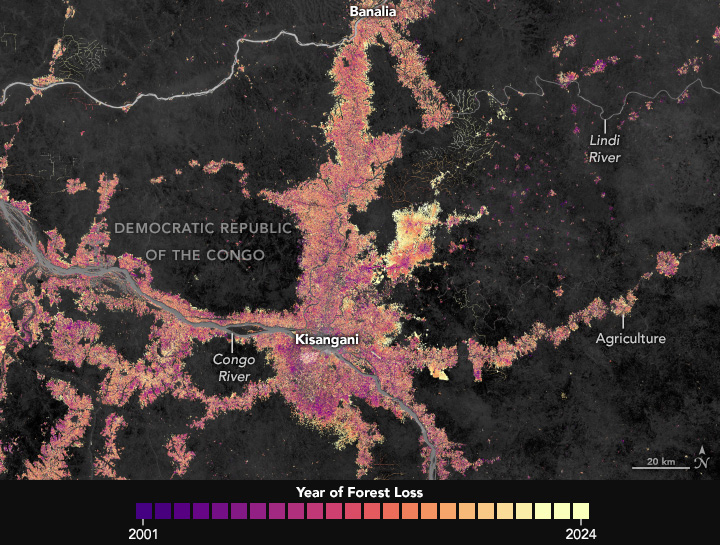 Satellite-source forest-loss map around Kisangani in DR Congo.